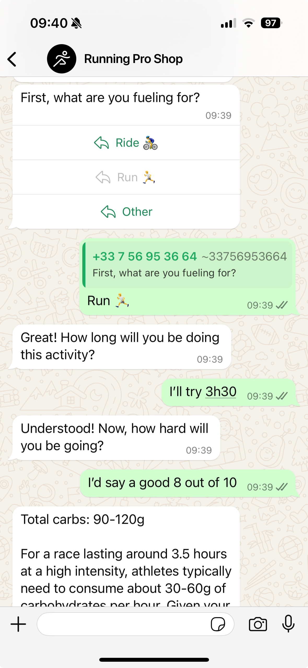 A WhatsApp screenshot of a marketing bot