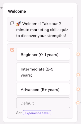 Experience Level Selection Quiz