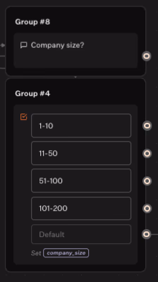 Company Size Options Selected