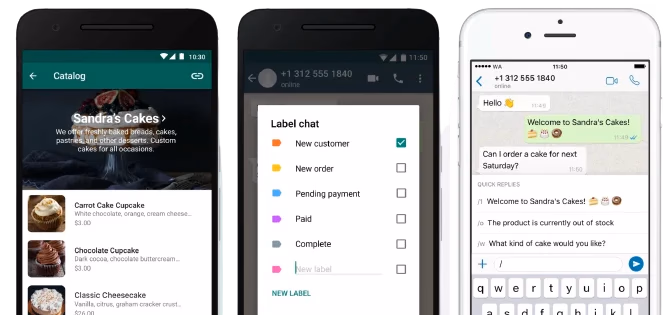 Whatsapp Business App Screens